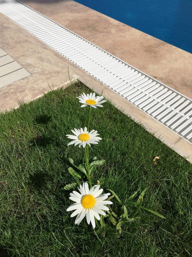 Casa Pallet Hotel (Adults Only) Dalyan Buitenkant foto